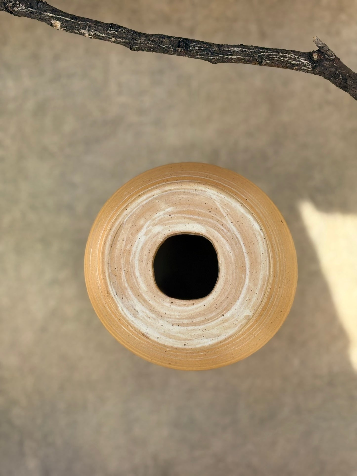 The Landscape Vessel