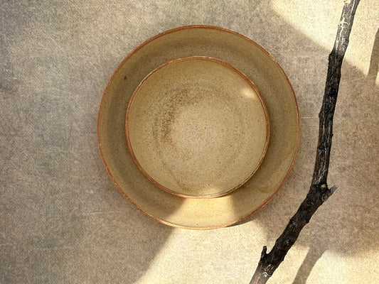 Earthy Beige Serving Bowl Set
