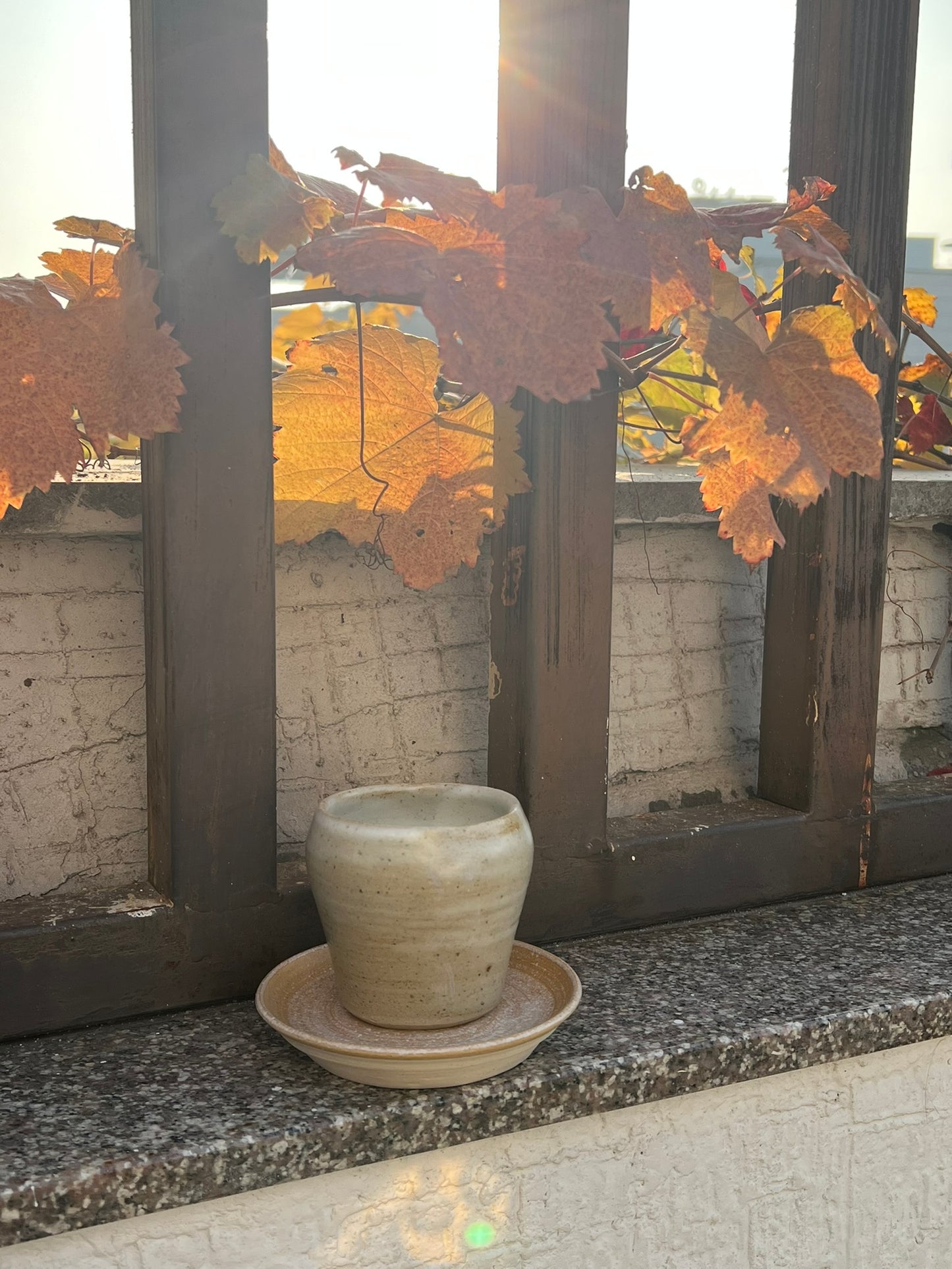 Espresso cup with saucer - Beige